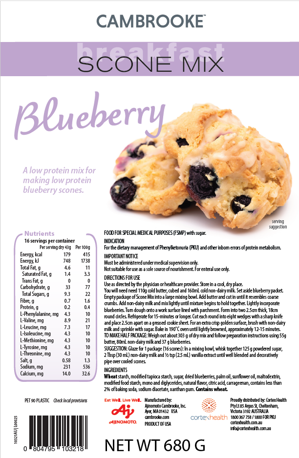 Blueberry Scone Mix
